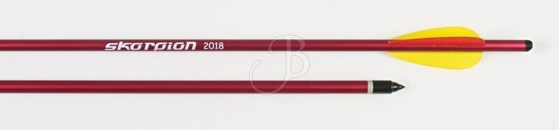 SKORPION DARDO BALESTRA ALU 20" 2219 6PZ
