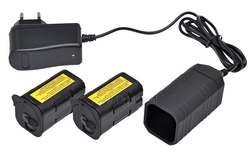 PULSAR COPPIA DI BATTERIE + CARICABATTERIE A VANO RICARICABILI cod. 79167