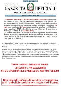 CARICATORE PER CHIAPPA  MARCATORE Paintball  Charlie 5.28 semiautomatico a CO2 - ENERGIA 12.5 JOULE Cal. 50 LIBERA VENDITA