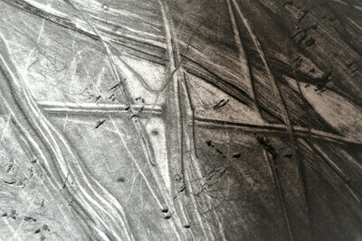 Print : Europa Under Stress