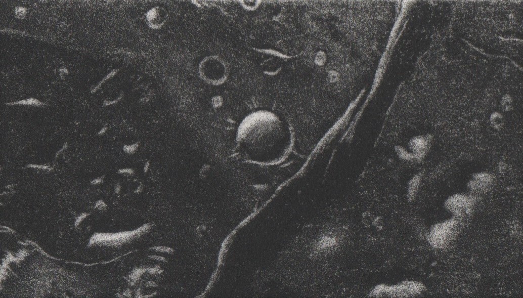Print : Cerberus Fossae (Mars)