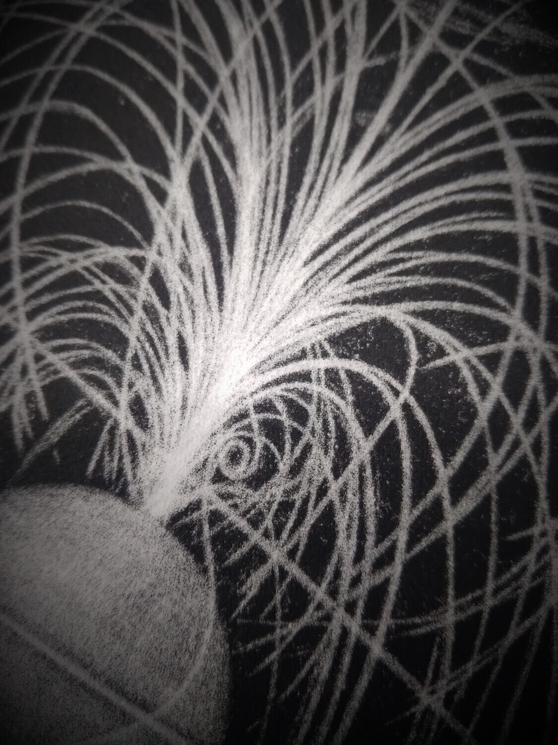 Print : Neutron Star CP 1919