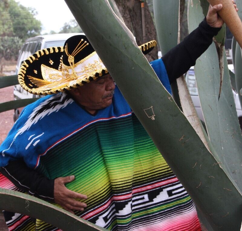 Tequila Tasting - DO 03.07.2025, 19:00 Uhr Tequila Tasting - DO 03.07.2025, 19:00 Uhr