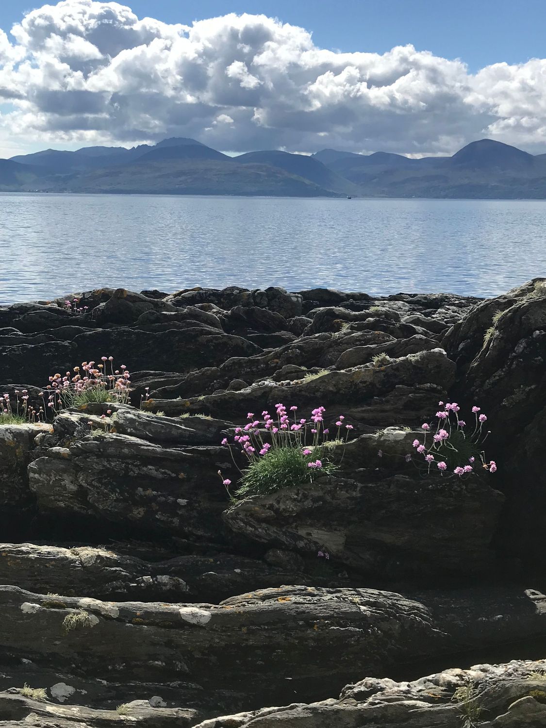 Schottisches Arran/Lagg-Distillery Whisky Tasting  mit Fred Baumgärtner -  DO 13.11.2025, 19:00 Uhr