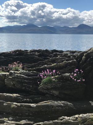 Schottisches Arran/Lagg-Distillery Whisky Tasting  mit Fred Baumgärtner -  DO 13.11.2025, 19:00 Uhr