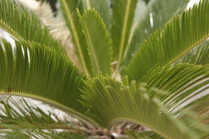 RUM Distillery-Tasting mit Ron Abuelo - FR 24.04.2026, 19:30 Uhr