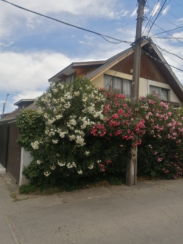 VENTA Casa Maipú San José