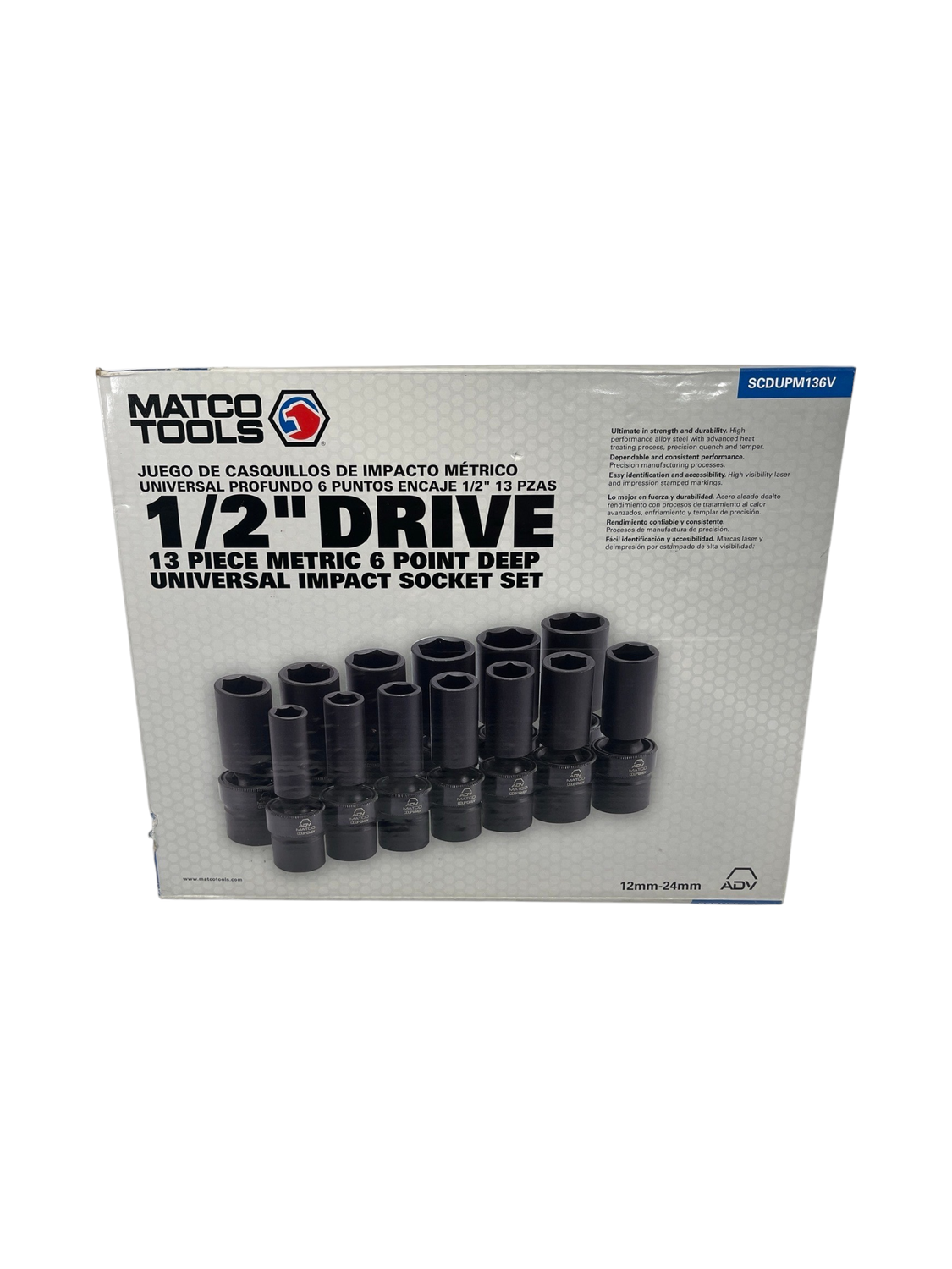 P.Majus mix 株分 P.Majus mix 株分 P.Majus mix 株分 P. bifurcatum 'Majus'成長記録