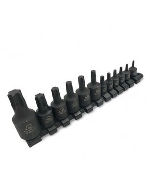 Matco Tools 12 Piece Combination Drive ADV TORX Bit Socket Set, SABCPTX12V