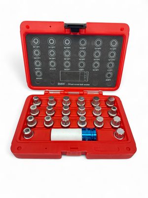 Matco 21pc 1996 - 2012 BMW Lock Key Kit, LT4160