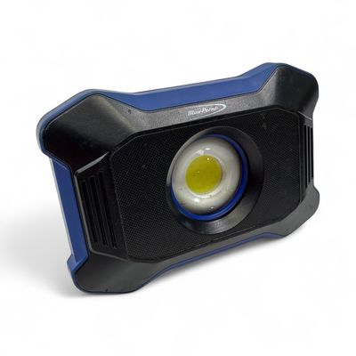 Blue Point 900 Lumen Mini Floodlight, ECFD0102