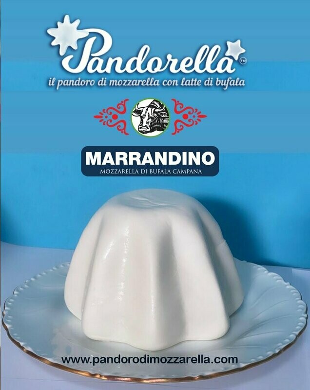 CACIOPANDORO  Latte di Bufala  - 950 gr circa con scatola REGALO