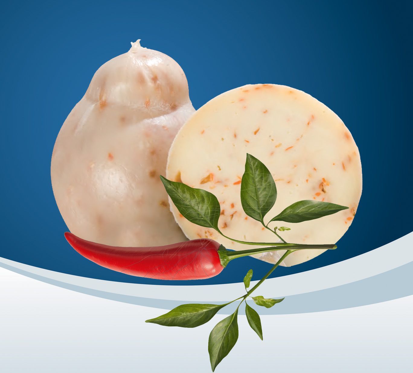 Caciocavallo Piccante di latte di Bufala -1 Kg
