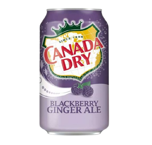 CANADA DRY BLACKBERRY GINGER ALE CAN 355ml