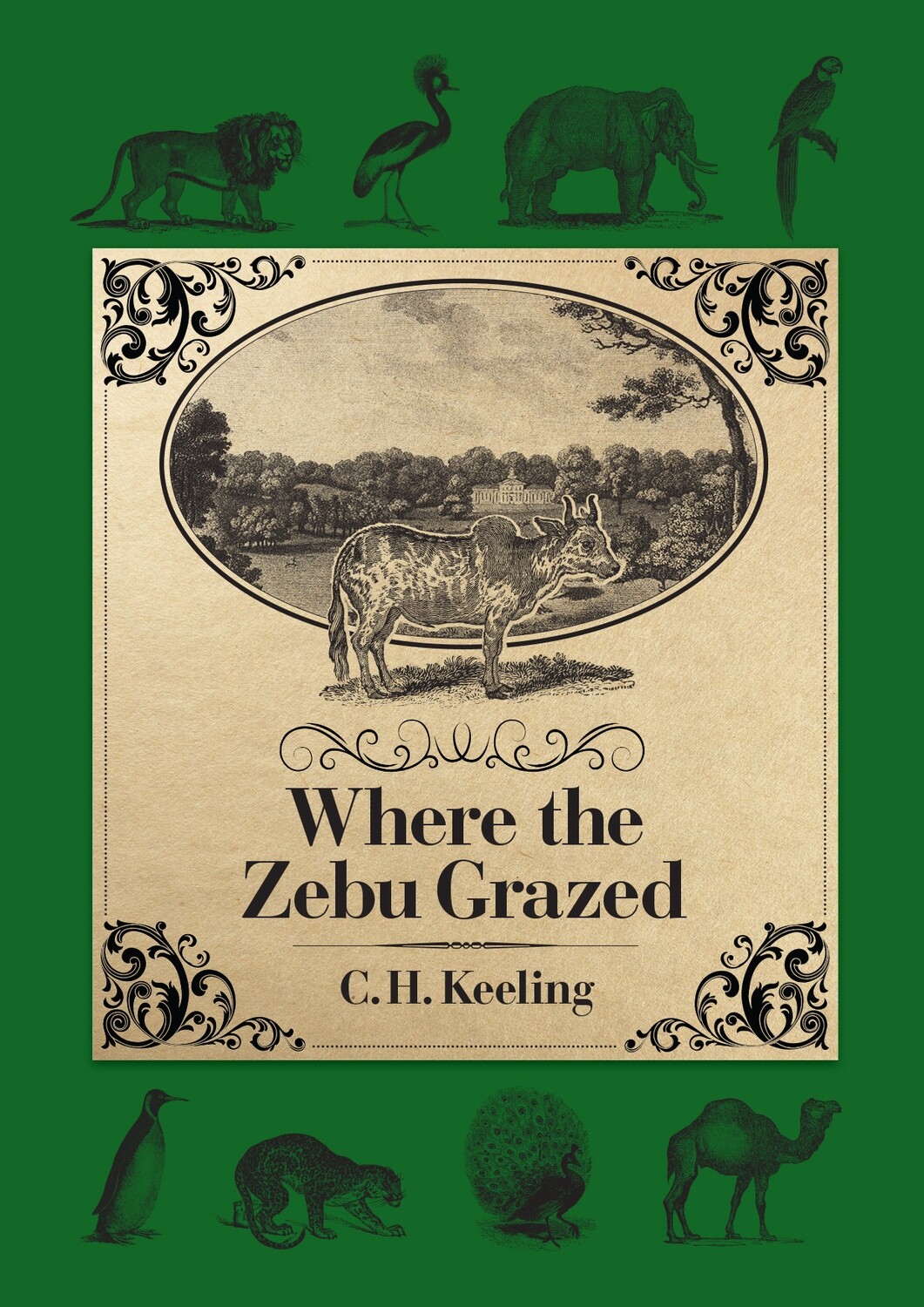 Where the Zebu Grazed