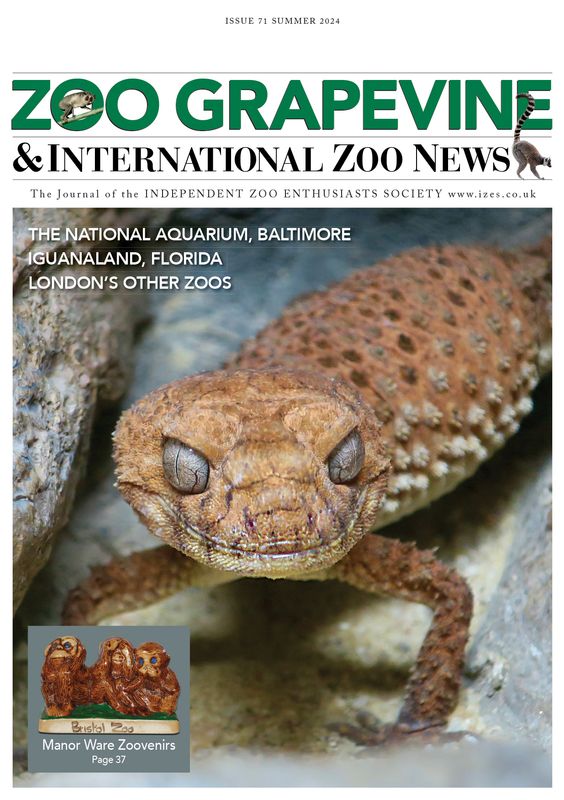 Zoo Grapevine Summer 2024