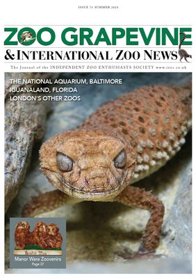 Zoo Grapevine Summer 2024