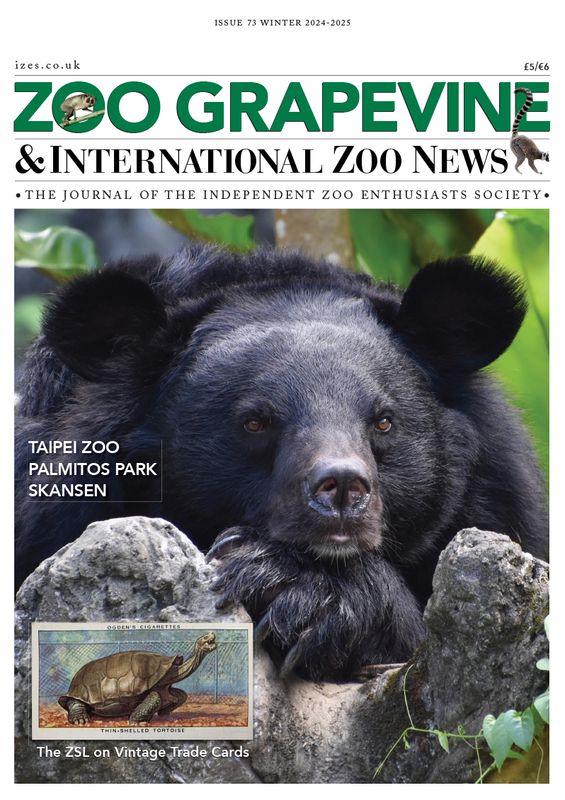 Zoo Grapevine Winter 2024-2025