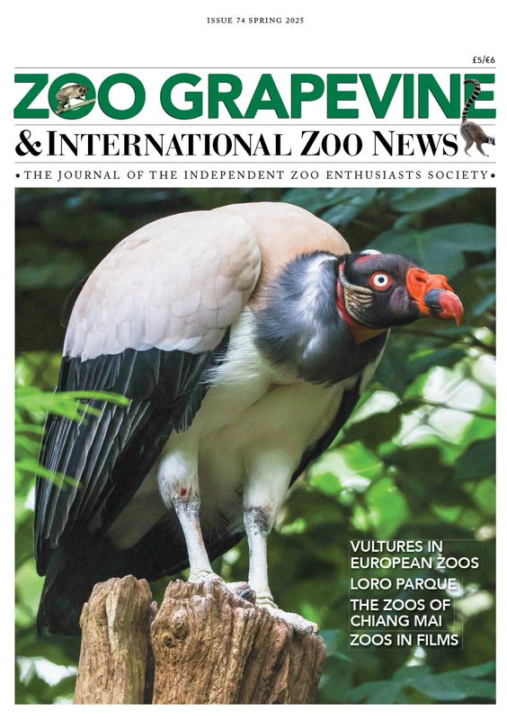 Zoo Grapevine Spring 2025