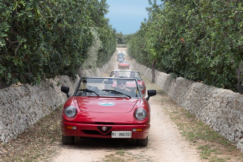 MORENIC HILLS OF GARDA- MEDIUM