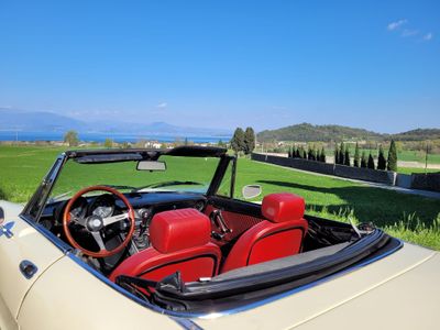 MORENIC HILLS OF GARDA – PREMIUM