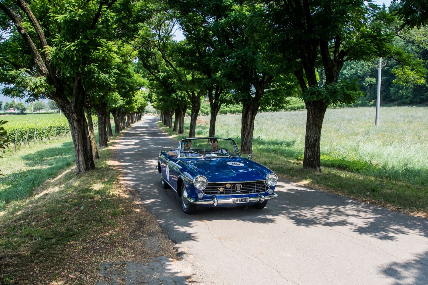 HALF A DAY IN TUSCANY - PREMIUM