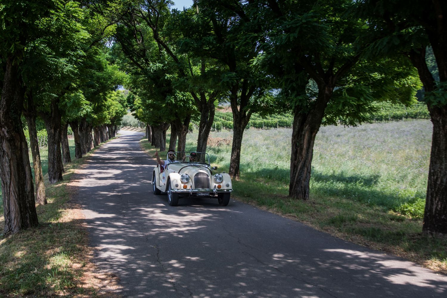 CHIANTI FIORENTINO VINTAGE TOUR - ELITE