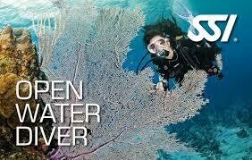 CURSO OPEN WATER DIVER CURSO OPEN WATER DIVER