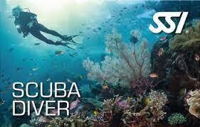 CURSO SCUBA DIVER CURSO SCUBA DIVER