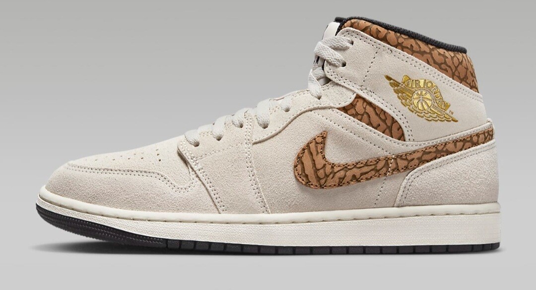 Air Jordan Mid SE