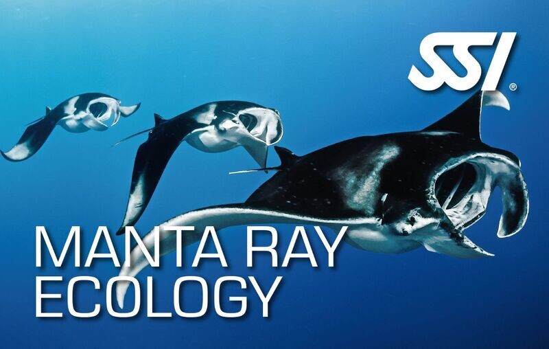 SSI ECOLOGÍA DE MANTAS