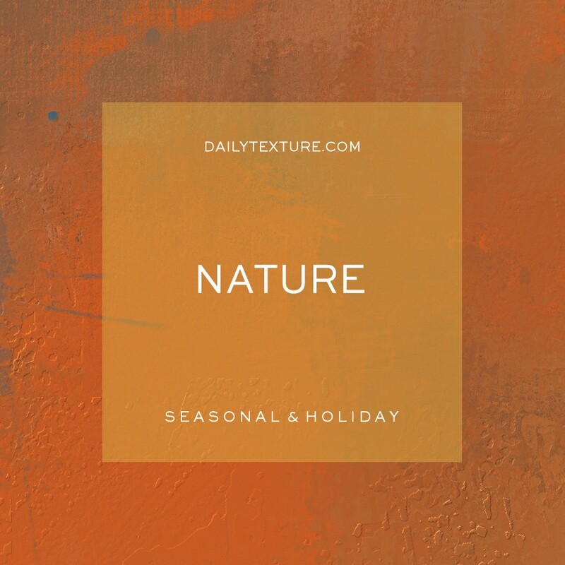 Nature Seasonal and Holiday Textures