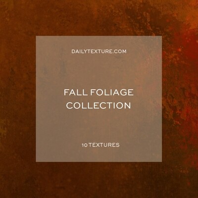 Fall Foliage Texture Collection