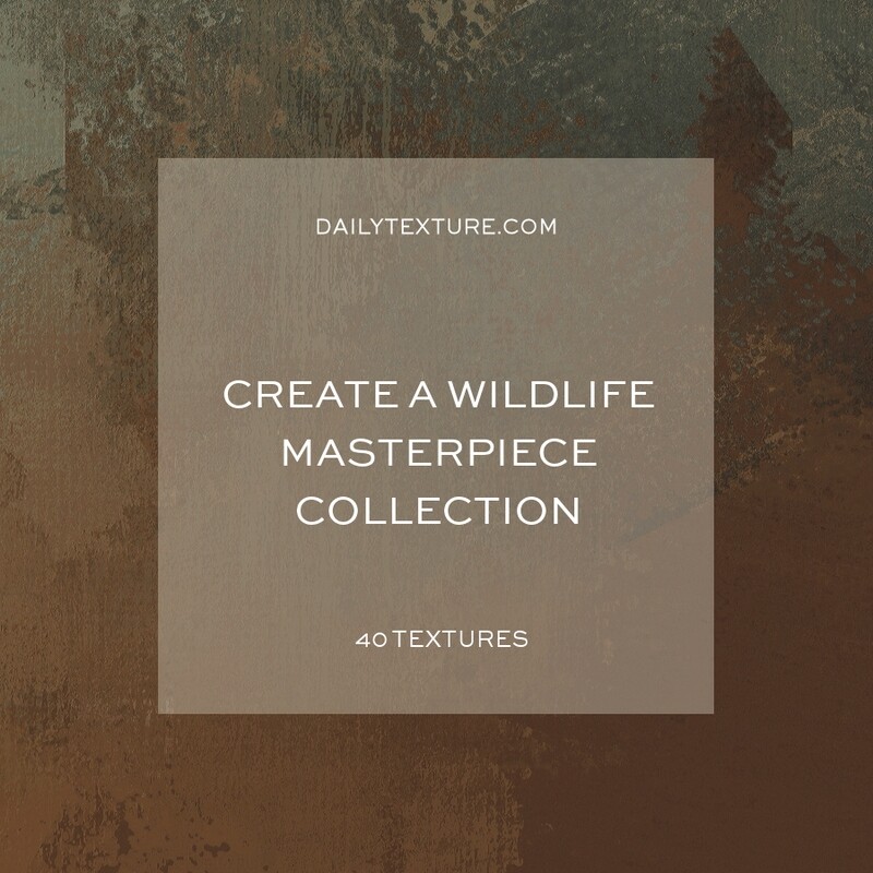 Create A Wildlife Masterpiece Texture Collection