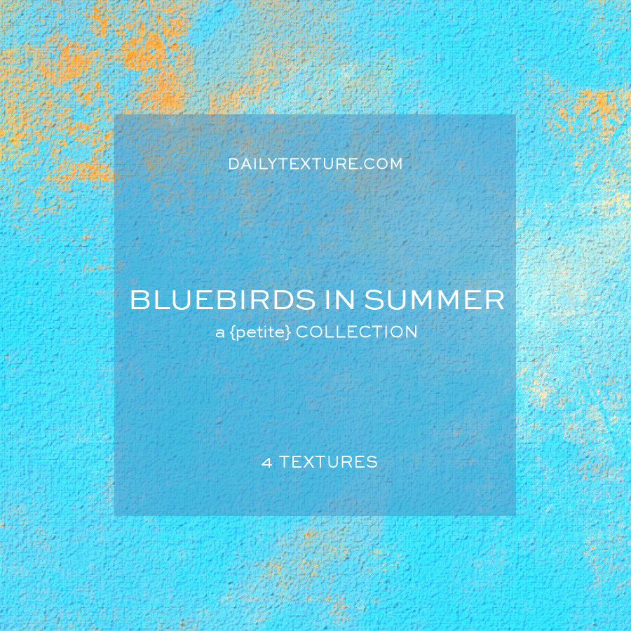 Bluebirds in Summer A Petite Texture Collection