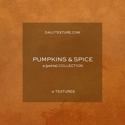 Pumpkins and Spice A Petite Texture Collection