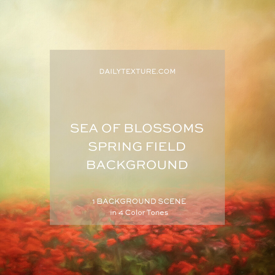 Sea Of Blossoms Spring Field Background Collection