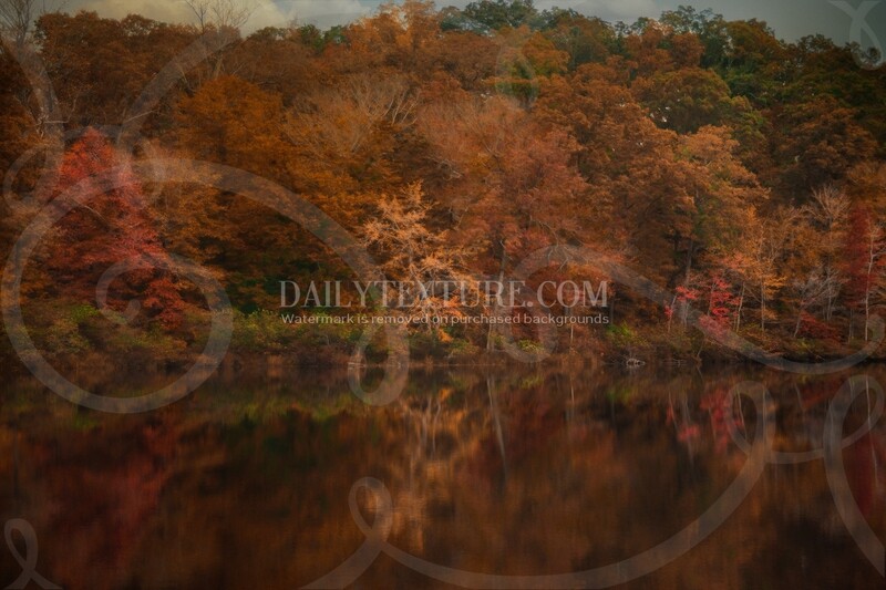 Autumn Reflection Single Background