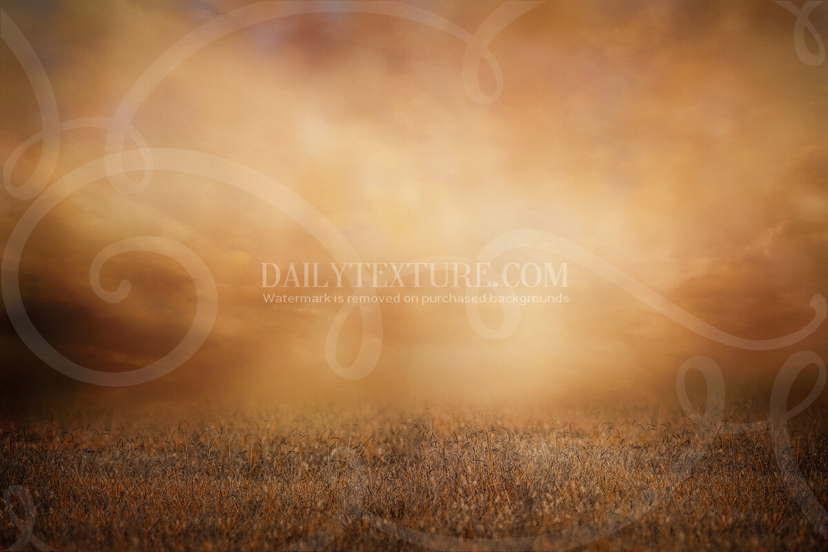 Radiant Autumn Field Single Background