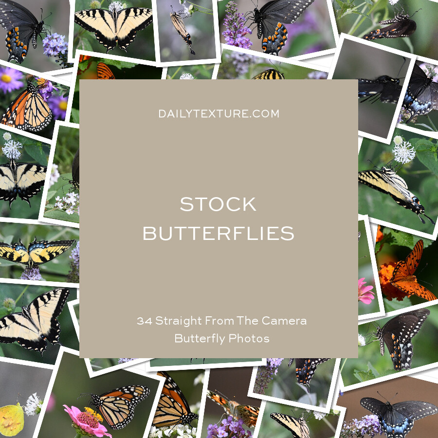 Daily Texture Stock Photos - Butterflies