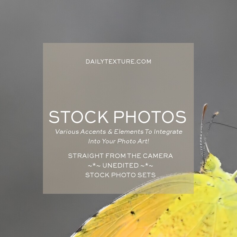 Stock Photos