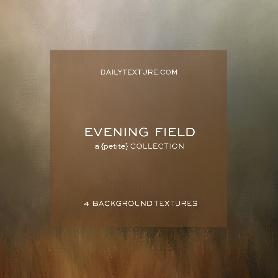 Evening Field A Petite Background Collection