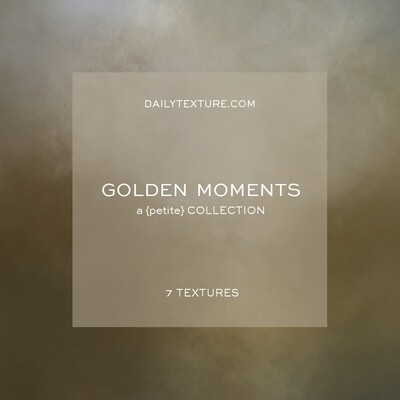 Golden Moments A Petite Texture Collection