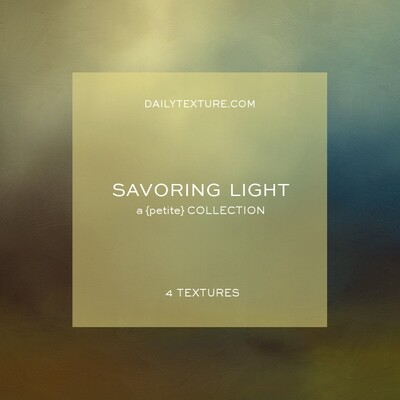 Savoring Light A Petite Texture Collection