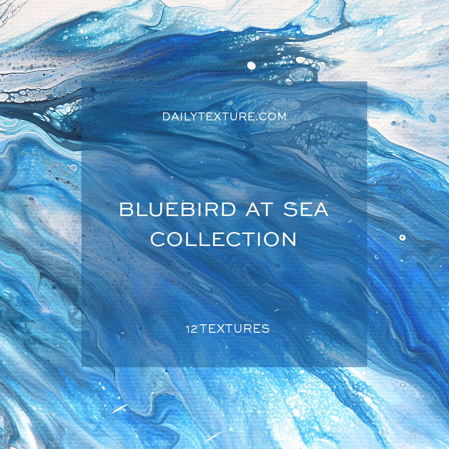 Bluebird At Sea Texture Collection