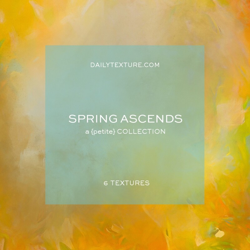 Spring Ascends A Petite Texture Collection