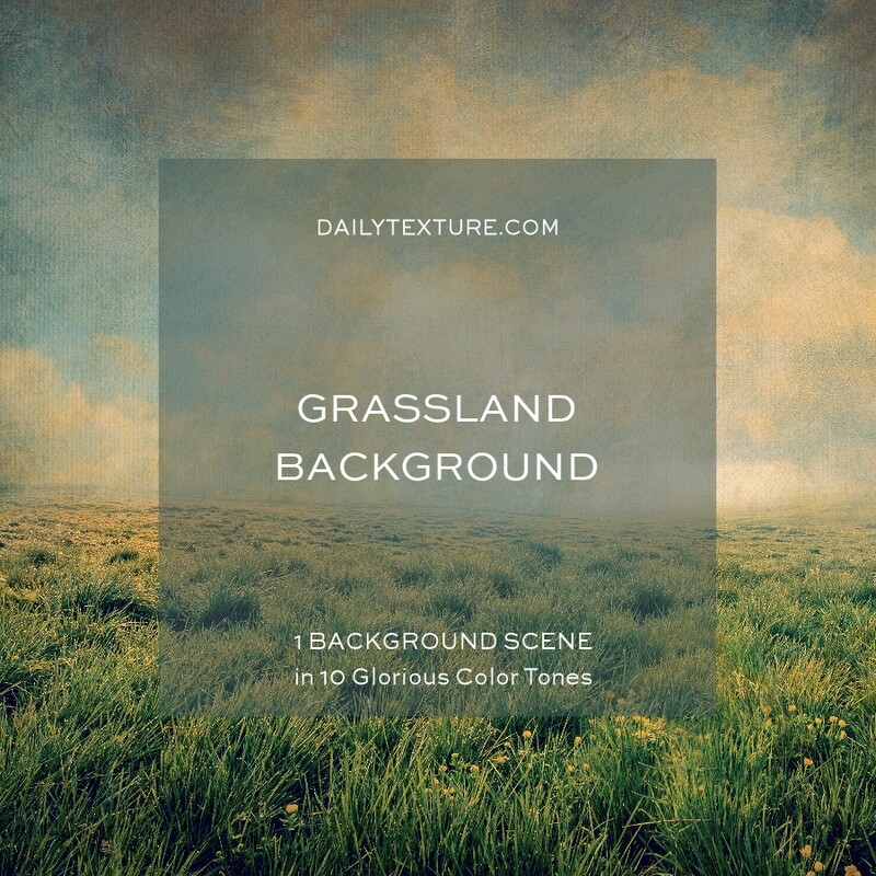 Grassland Background Collection