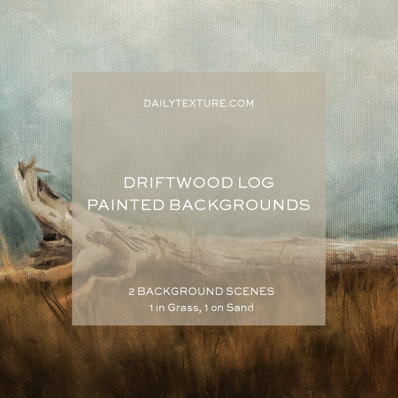 The Driftwood Log Painted Backgrounds