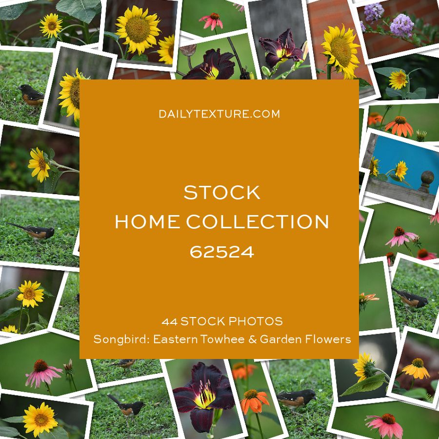 Daily Texture Stock Photos - HOME Collection 62524