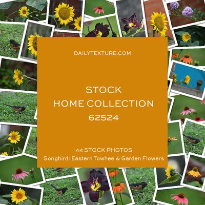 Daily Texture Stock Photos - HOME Collection 62524